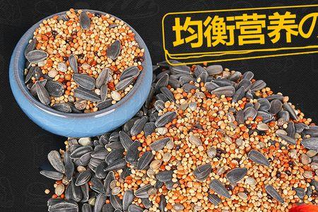 玄凤鹦鹉吃什么鸟食最好