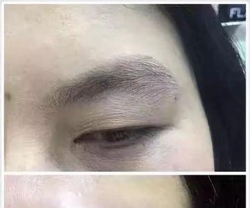 扫帚眉属于什么类别