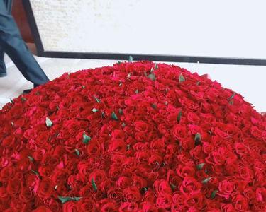 666朵玫瑰花送歌友代表什么