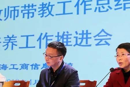 正职教师什么意思