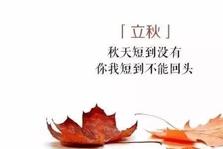 入伏下雨是什么预兆_入伏天下雨有什么说法_入伏下雨有什么说法