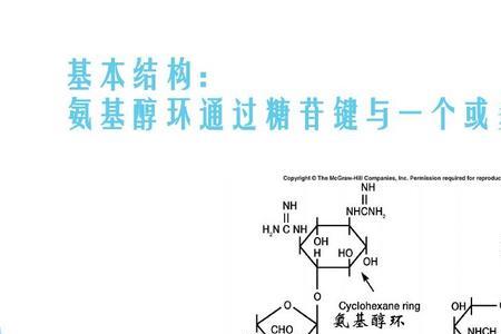 两分子单糖是什么意思