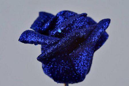兰花蓝色妖姬几月开花