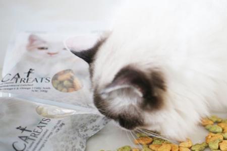 猫一天吃50克猫粮正常吗