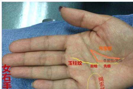 冲天纹与通天纹的区别