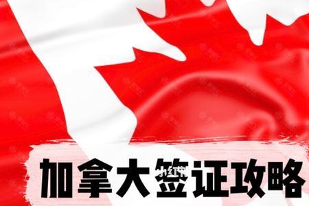 办加拿大签证被安全调查怎么办