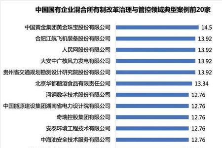 国有企业属于什么所有