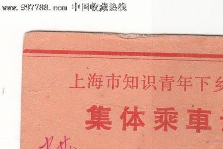 全国知青总数