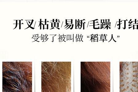 头发干枯毛躁焗油有用吗