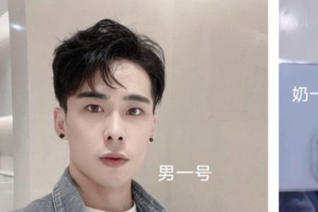 新晋顶流意思