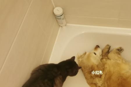 两点半能洗澡吗