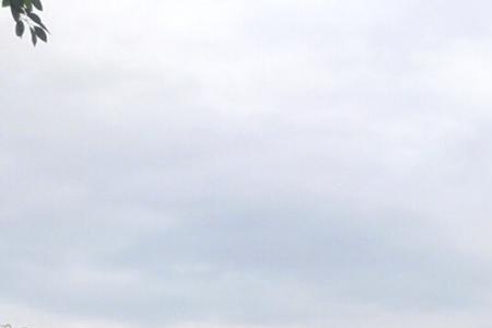 照母山公园关灯时间