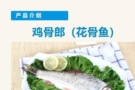花茹鱼学名