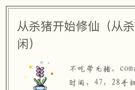 从杀猪开始修仙女主有几个
