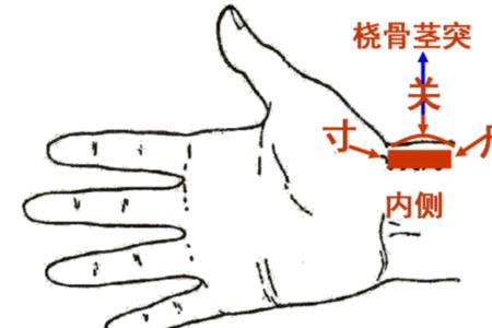 手弯的地方叫什么