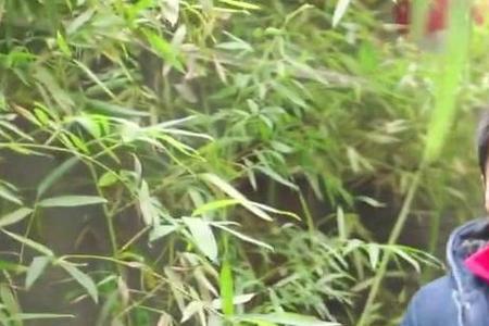 平凡英雄有李晨嘛