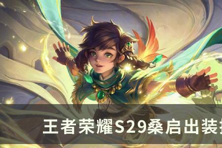 s29桑启出装