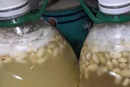 河南自制霉黄豆的全过程