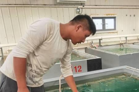室内淡水养虾调水配方