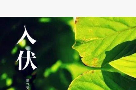 23 年入伏时间