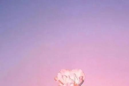 心境淡然是什么意思