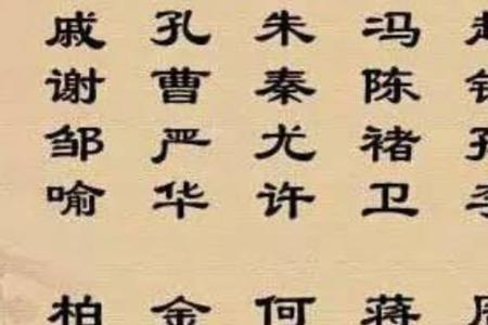 真姓在百家姓排第几名