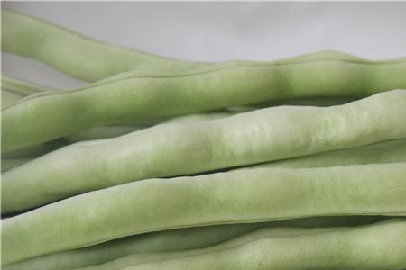芸豆几天结角