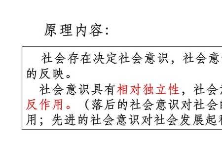 社会主体的对应概念
