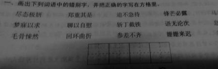 有苏字八字词语