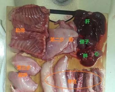 野猫肉的做法
