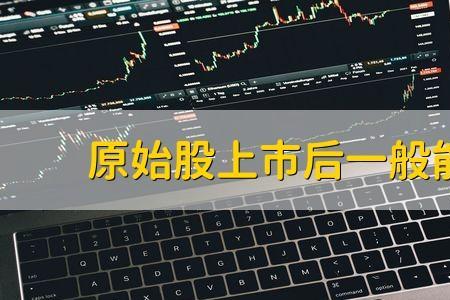 5元一股原始股是什么意思