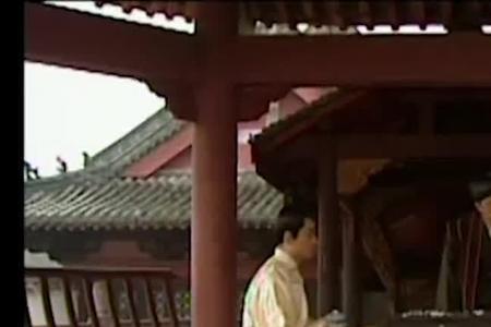 陈王廷有没有围李自成