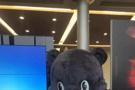 rng小熊什么梗