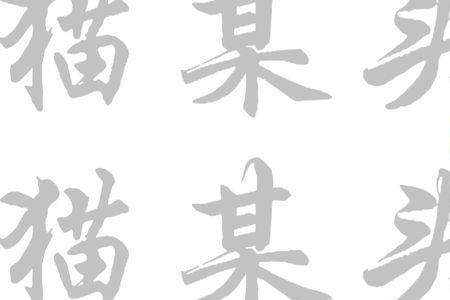 某某不某 成语