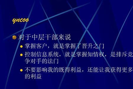决策追踪与调整的特征与原则