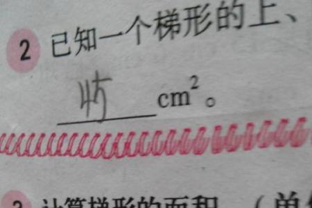 咪姐是什么