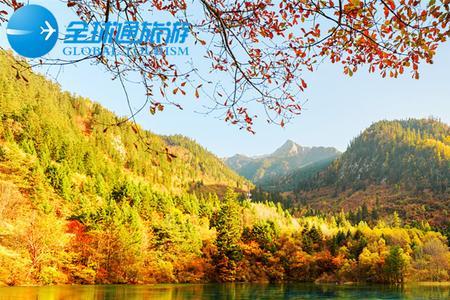 四川旅游怎么申请四川码