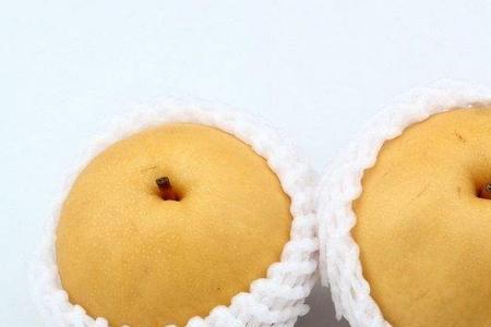沙梨的储存方法