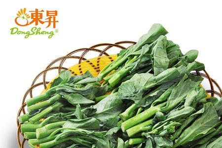 东北有芥兰吗