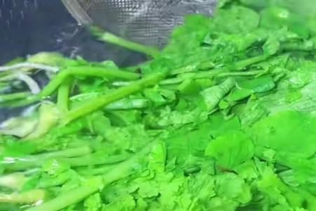 炸萝卜菜能用凉水冰吗