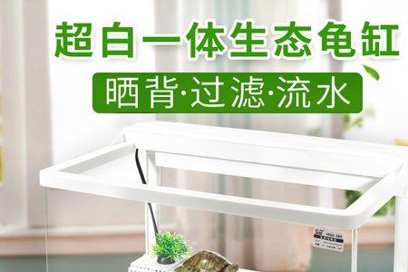 珍珠龟用多大缸养