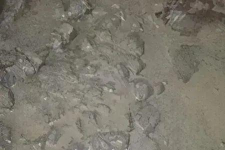 混凝土落差多少算离析