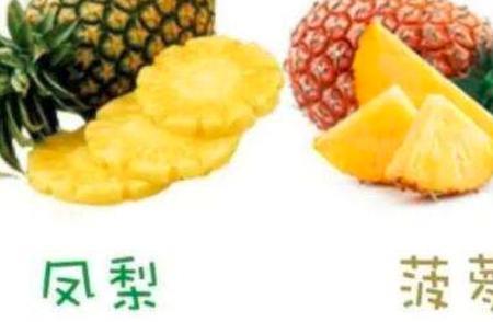 玉米和菠萝有什么区别