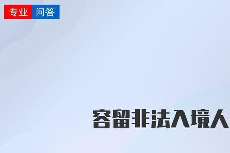非法组织外籍人员入境什么罪名