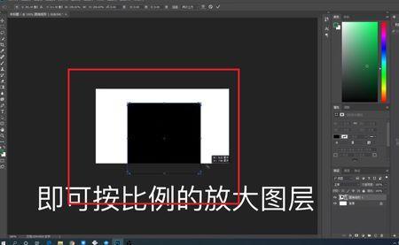 ps如何把选中的部分整体缩小50%