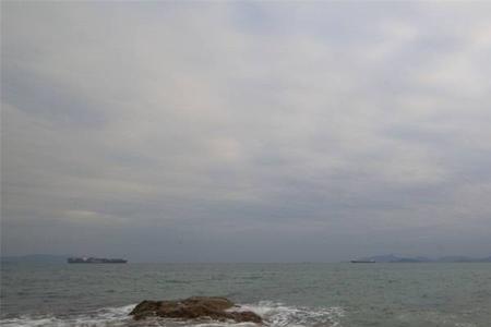 去海边沙滩涂什么油