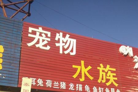 华凌宠物市场几点关门