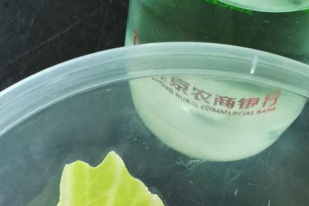 白玉蜗牛的卵是什么样的