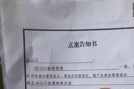 刑事立案编号是什么样的