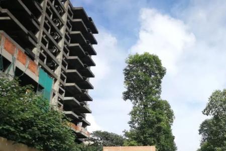 成都七中对面是四川大学吗